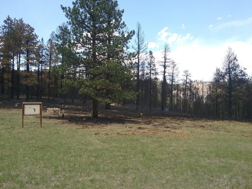 Fire Ecology and Forestry - Philmont Scout Ranch