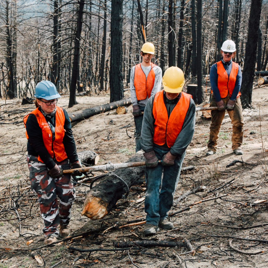 Volunteer Opportunities Philmont Scout Ranch