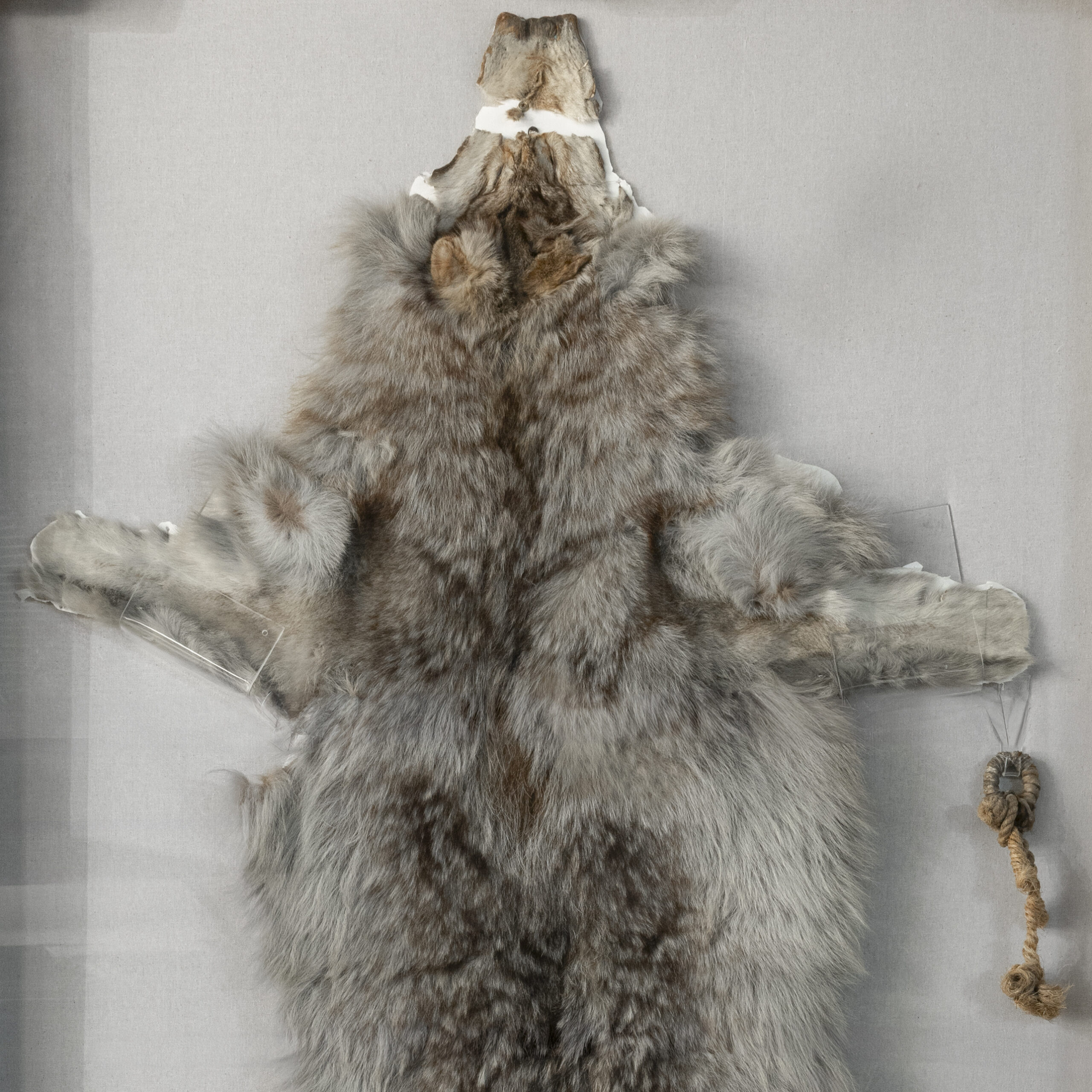 20250321_BRichards_NSM_Artifacts_SquareCrop_001